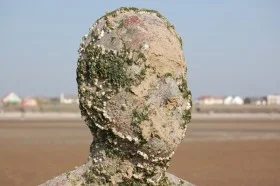 Barnacled head